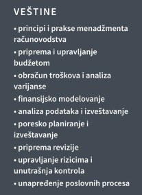 CV racunovodje – vestine